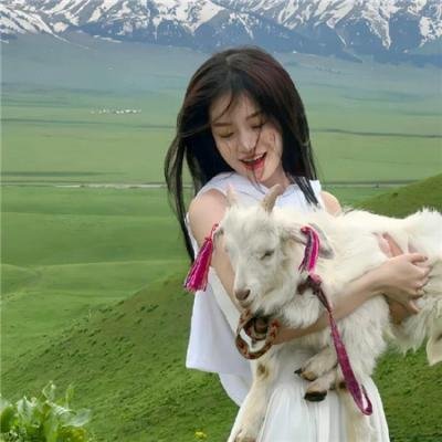 二龙湖浩哥之风云再起